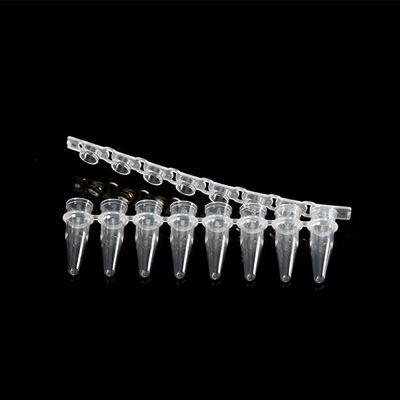 Ống PCR 8 dải 0,2ml